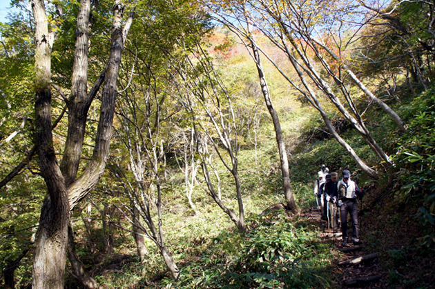 三瓶山＊同窓会登山①＊_f0214649_16255578.jpg