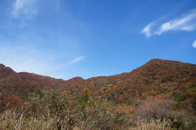 三瓶山＊同窓会登山①＊_f0214649_16314330.jpg