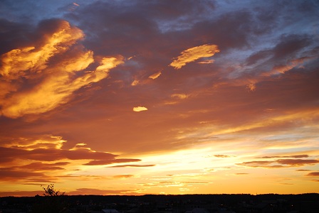 a0238350_9294461.jpg
