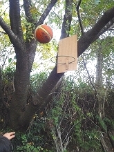 f0207652_14401357.jpg