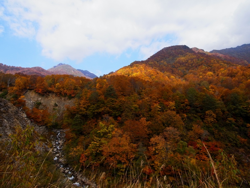 autumn landscape(長野県小谷村　鎌池より雨飾高原）_e0223456_939944.jpg