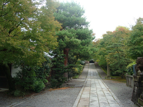 f0198556_2311399.jpg