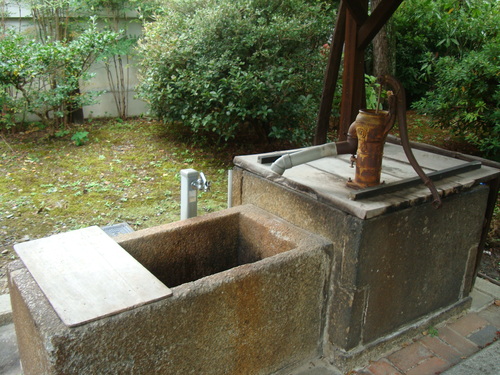 f0198556_231915.jpg