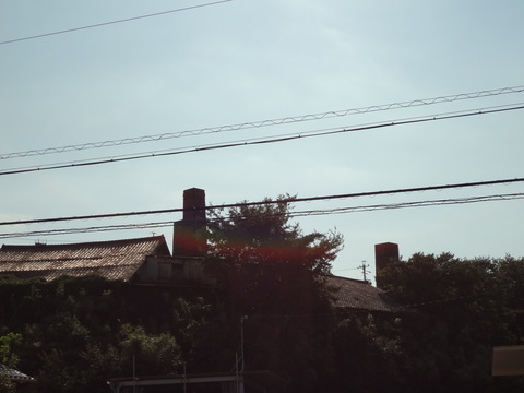 b0195657_1403726.jpg