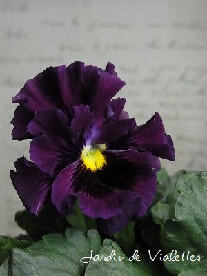 e0118257_2134375.jpg