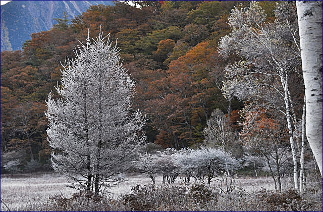 b0053765_237117.jpg