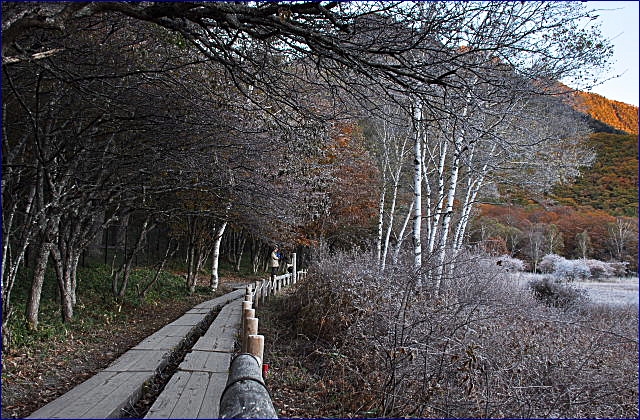b0053765_2392783.jpg