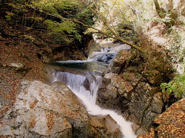 f0208666_20143670.jpg
