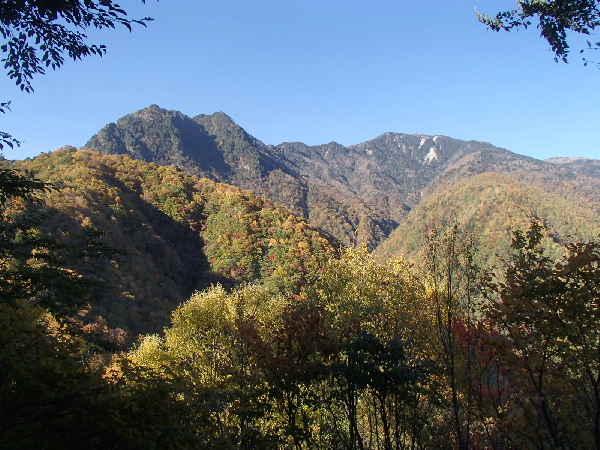 f0208666_2023768.jpg