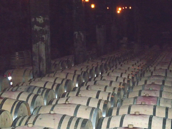f0208666_2030612.jpg