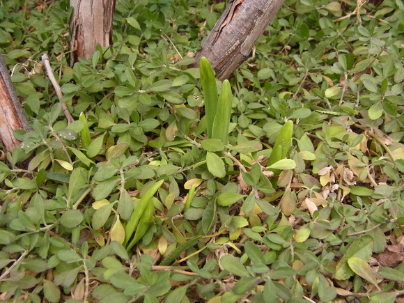 b0194267_1154980.jpg