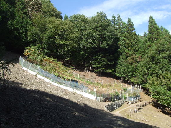 e0244967_16381210.jpg