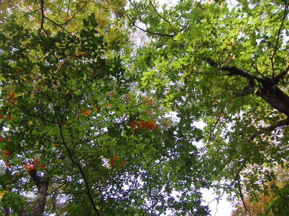 e0244967_16382190.jpg