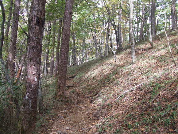 e0244967_16383325.jpg