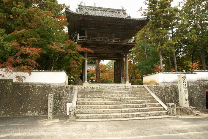 b0198768_18454521.jpg