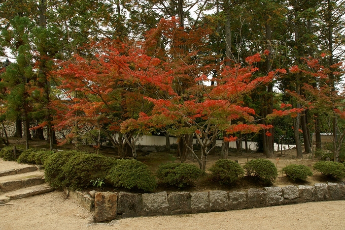b0198768_20325047.jpg