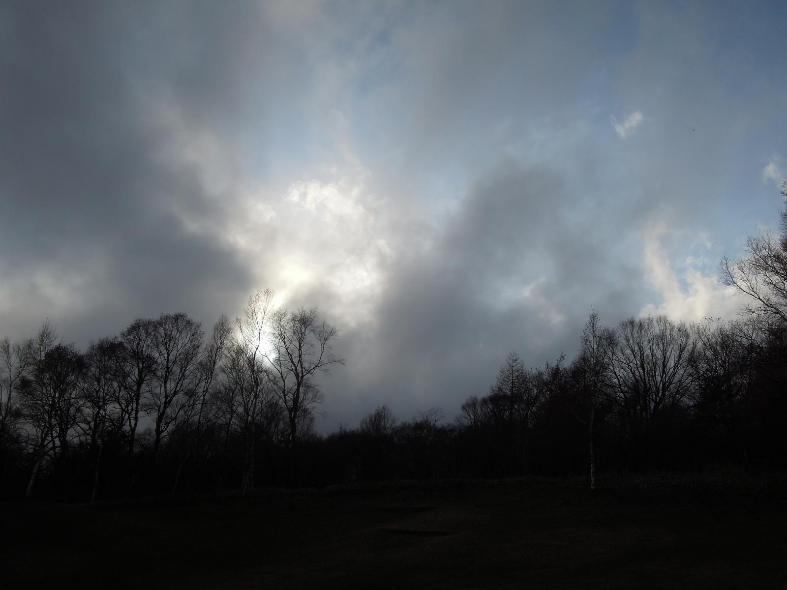 f0104169_2233746.jpg