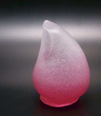 教室展報告:その11_b0273973_9123875.jpg