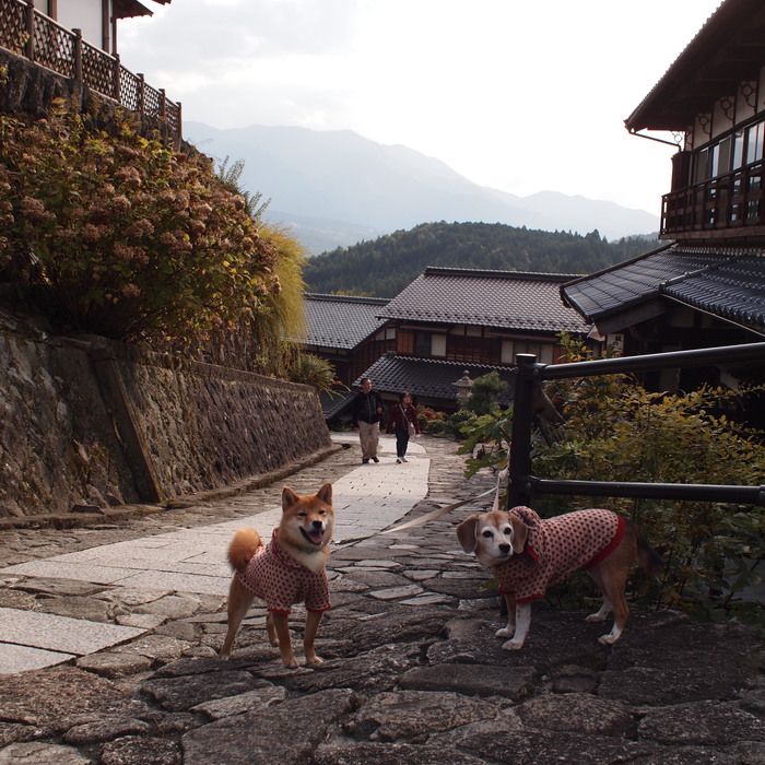 光前寺から馬籠宿へ！_a0104074_2228995.jpg