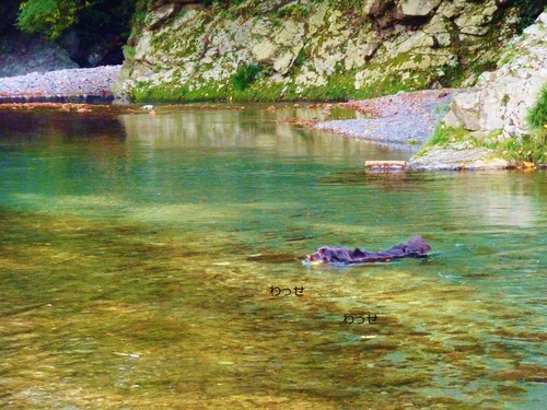e0207477_05824.jpg