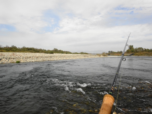 c0157482_16263175.jpg