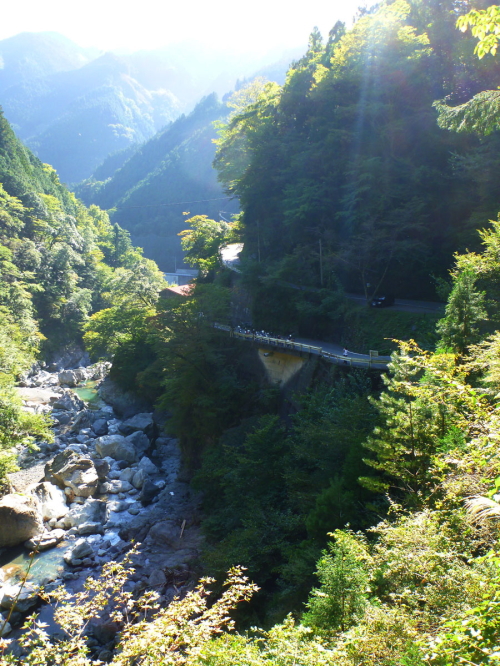 紅葉まっ盛りを狙って！剣山スーパー林道ツーリング　最終回_d0179983_21143859.jpg