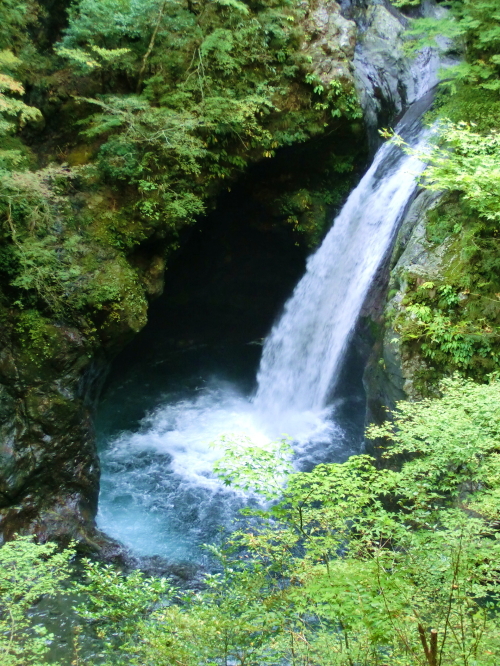 紅葉まっ盛りを狙って！剣山スーパー林道ツーリング　最終回_d0179983_21192841.jpg