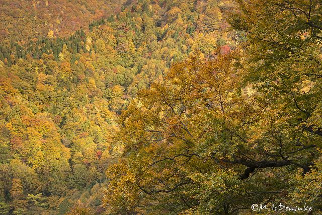 JNP日本風景写真協会　石川支部展開催_a0276584_7561263.jpg