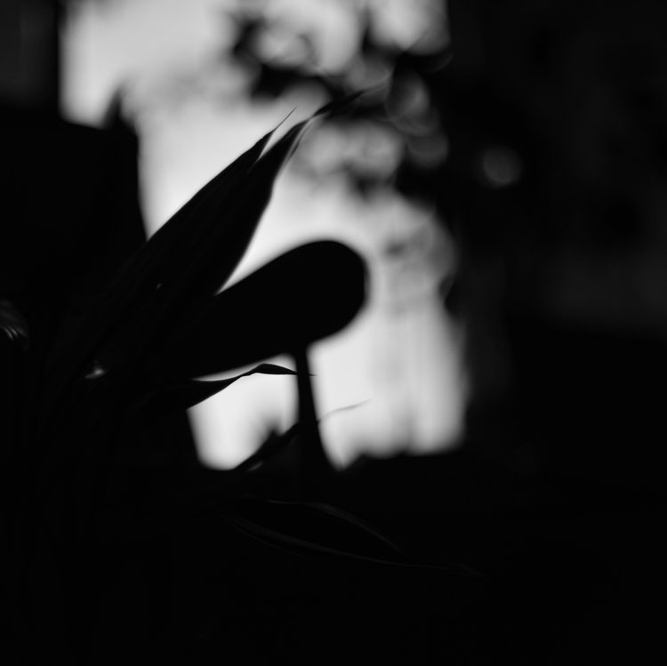 c0229384_17564668.jpg