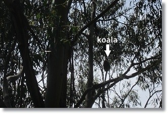 f0057284_21515546.jpg