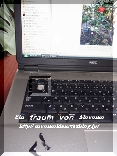 e0185787_1811763.jpg