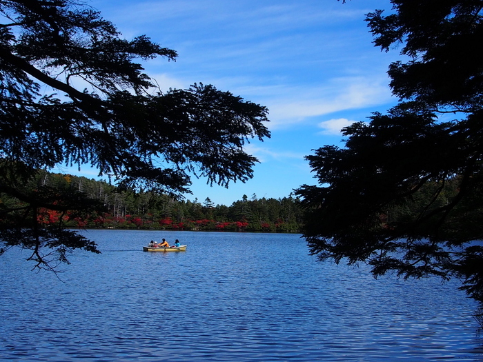 秋の北八ヶ岳紀行 （4）　　白駒池周遊_e0195587_21364730.jpg