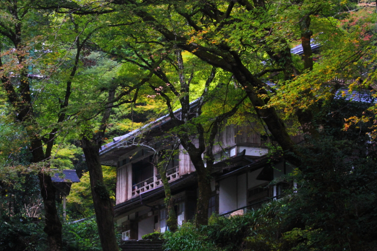 志明院_e0051888_0275229.jpg