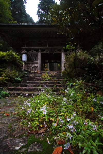 志明院_e0051888_02838100.jpg