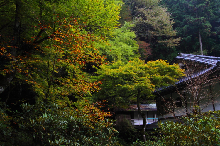志明院_e0051888_0292078.jpg