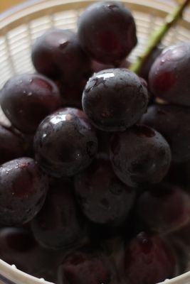 c0145889_9105711.jpg