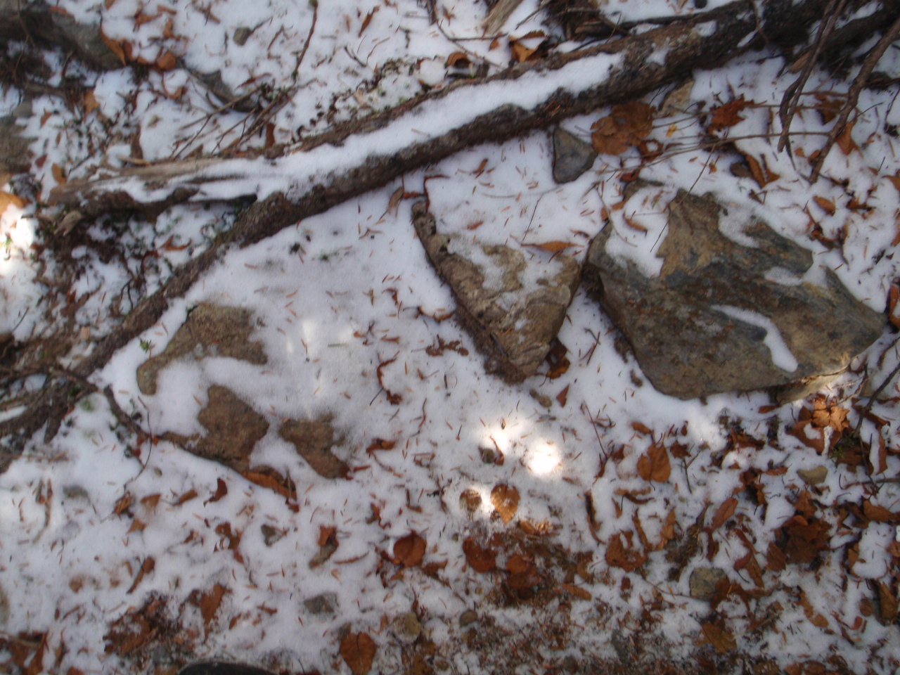 d0034291_21315672.jpg