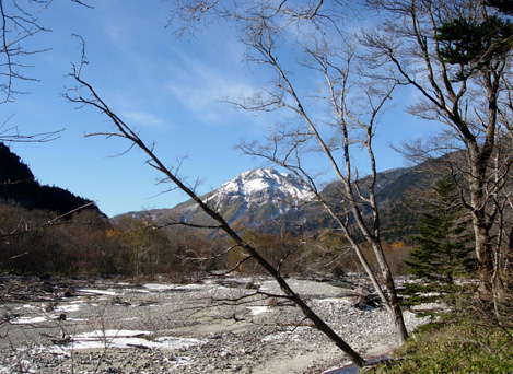 d0129295_15261645.jpg