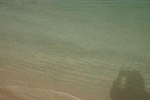 e0160595_1194251.jpg