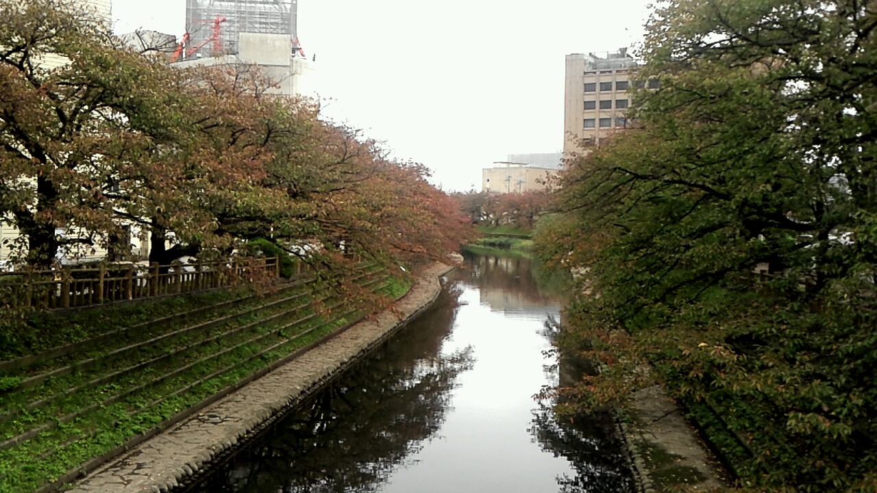 e0105596_1105737.jpg