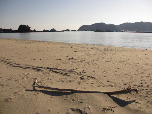 a0193698_19212224.jpg