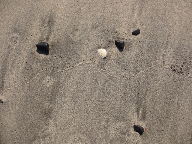 a0193698_19261610.jpg