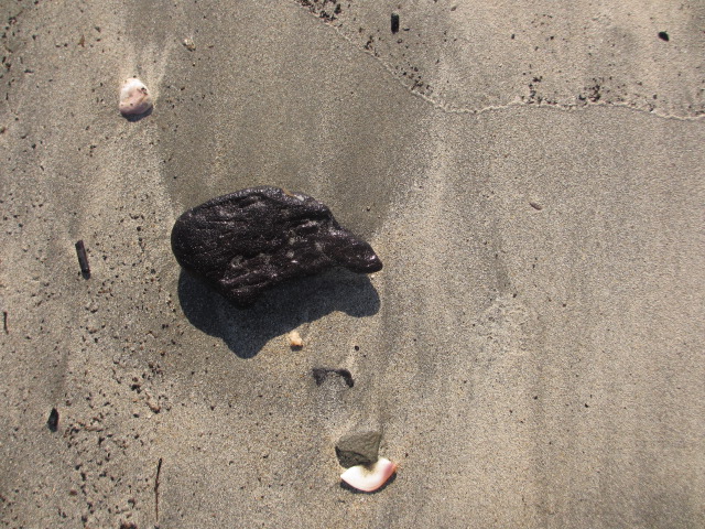 a0193698_19281438.jpg