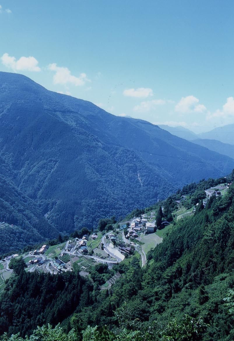 c0072801_2339267.jpg