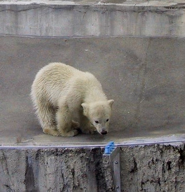 c0155902_811312.jpg