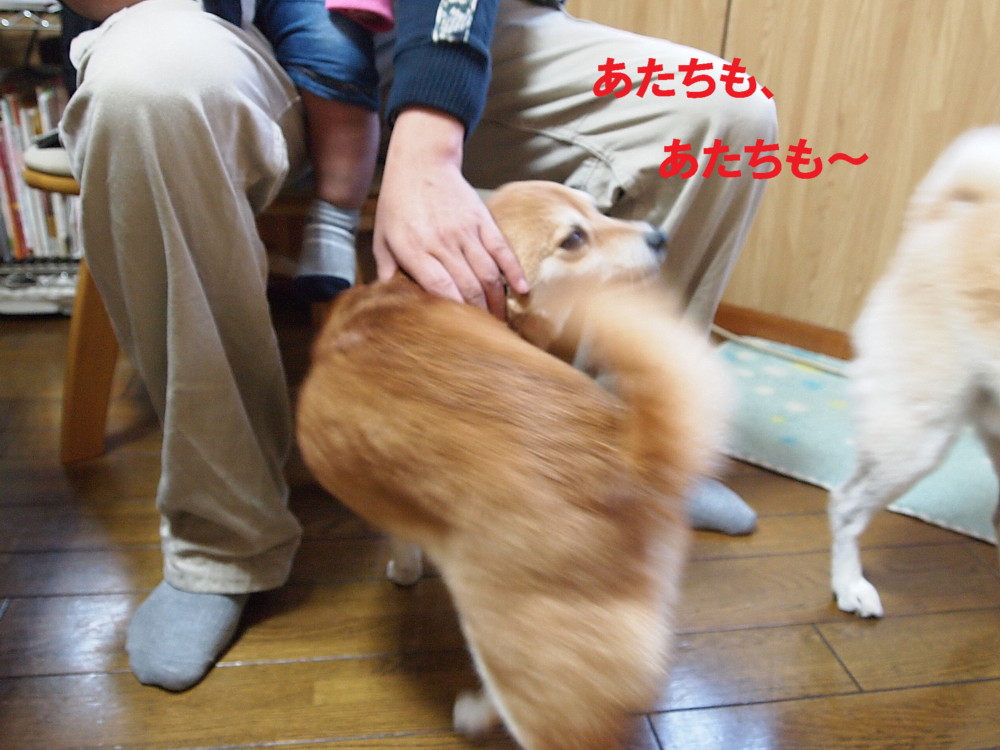 e0131506_9552912.jpg