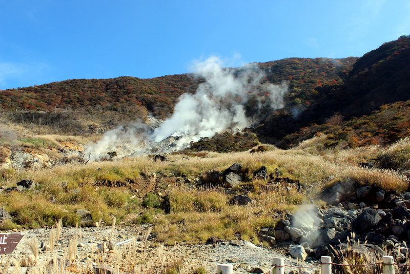 f0224506_1625328.jpg