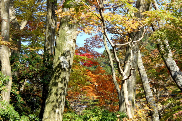 f0224506_1644141.jpg