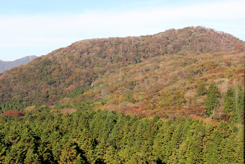 f0224506_16484487.jpg