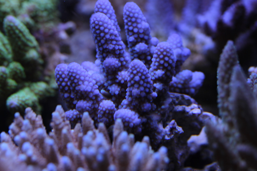 b0240608_22304139.jpg
